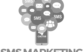Cactus crm marketing con sms marketing