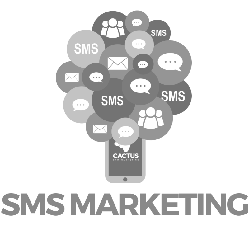 Cactus crm marketing con sms marketing